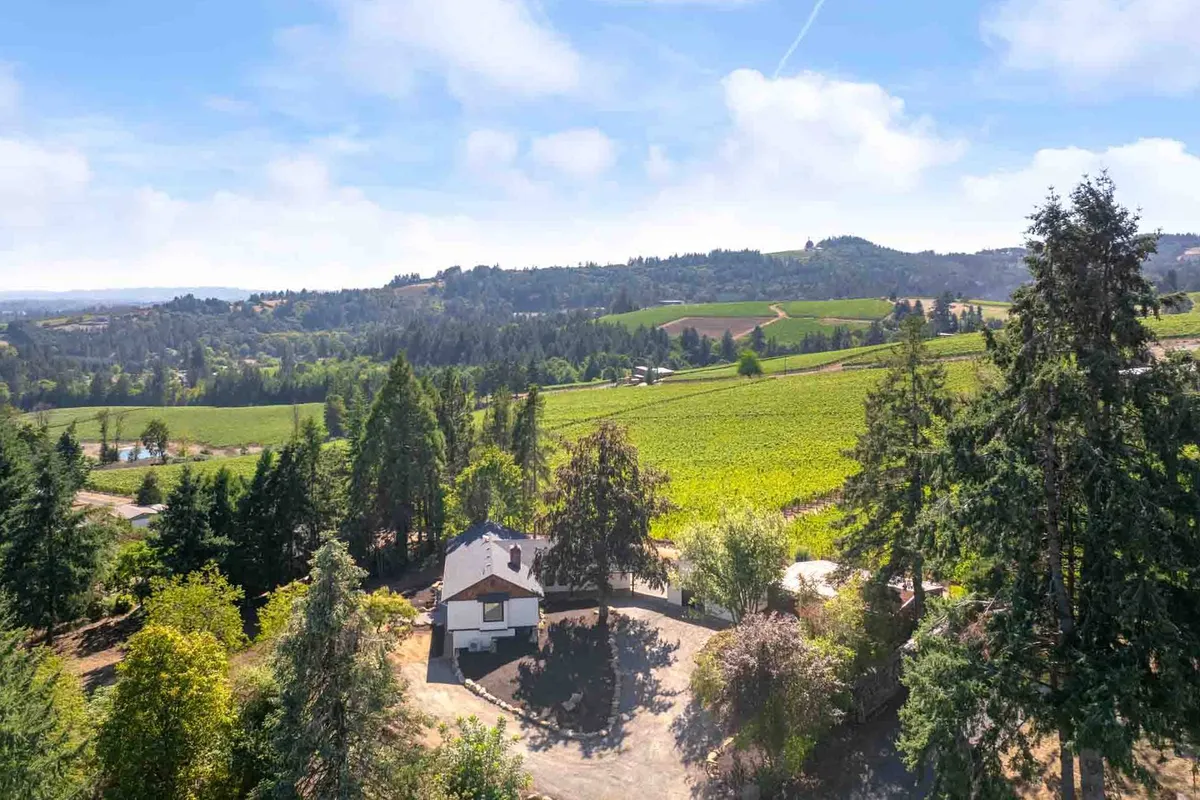 A wide shot of the property nestled among lush vineyards and distant hills, with the house at the heart of the landscape. The view highlights the rural, undisturbed setting and the expansive natural beauty surrounding the cottage, ideal for quiet walks or wine tasting experiences.